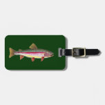 Trout Fishing