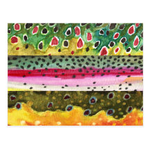 Trout Fishing Post Cards