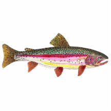 Trout Fly Fishing Acrylic Cut Outs