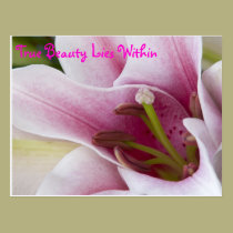 True Beauty Lies Within Postcard postcards