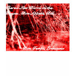 True Blood on the Bayou t-shirts