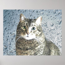 True Blue Kitty