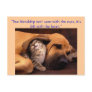 "True friendship ... Postcards