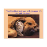 "True friendship ... postcards