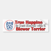True Happiness with a Biewer Terrier Bumper Stickers