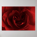 True Love posters