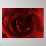 True Love Poster