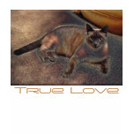 TRUE LOVE Tops & Tees t-shirts