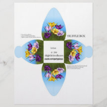 Truffle Box Party Favour box. Birthday or weddings Full Color Flyer