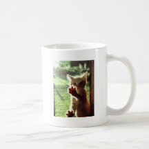 Truman in kitchen window coffee mug
