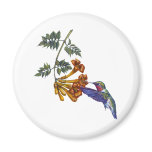 Trumpet Creeper Ruby Throated Hummingbird magnets