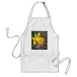 Trumpet Daffodil Apron