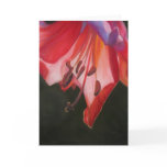 Trumpet Lily Card