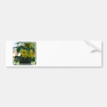 Trumpet Vine Bumper Sticker