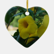 Trumpet Vine Ornament