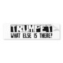Trumpet What Else Is There? Bumper Sticker