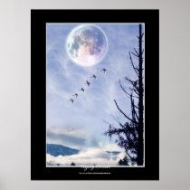 Trumpeter Swans & Moon Nature Photo Art Poster