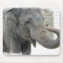 Trumpeting Elephant Mouse Pad