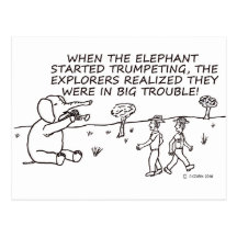 Trumpeting Elephant Post Cards
