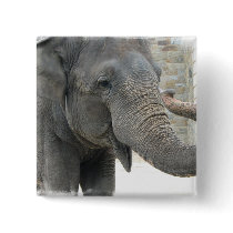 Trumpeting Elephant Square Button