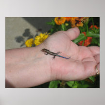 Trust in Nature Poster