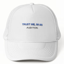Trust Me I'm an Auditor