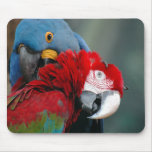 Trust Mousepad