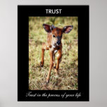 Trust posters