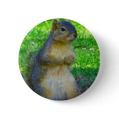 Try_ Pinback Buttons by ELENNE