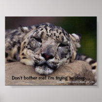 trying to sleep... posters