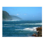 Tsitsikamma National Park Post Card