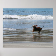 Tsunami Harry Print