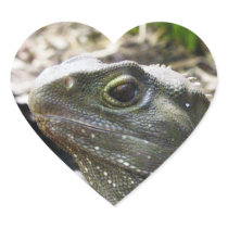 Tuatara Stickers
