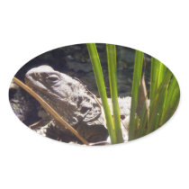 Tuatara Oval Stickers
