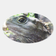 Tuatara Stickers