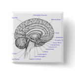Tube Brain buttons