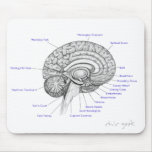 Tube Brain mousepads