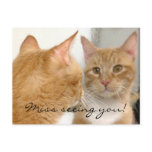 Tubo - Miss seeing you! Postcard
