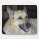 Tucker the big German Shepherd mousepads