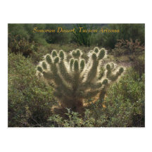 Tucson Arizona Postcards