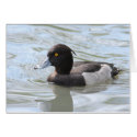 Tufted Duck cards