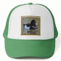 Tufted Duck hats