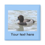 Tufted Duck magnets