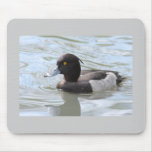 Tufted Duck mousepads