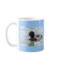 Tufted Duck mugs