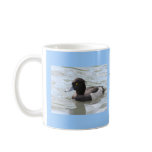 Tufted Duck mugs