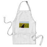 Tufted Puffin in Hand Aprons