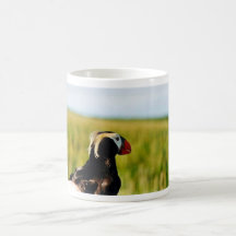 Tufted Puffin in Hand Coffee Mugs