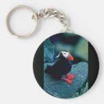 Tufted Puffin Keychain