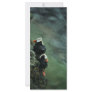 Tufted Puffin Pair Custom Rack Cards